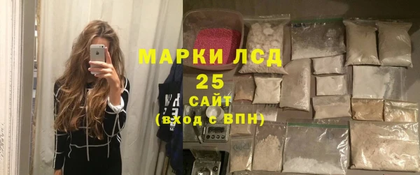 прущие грибы Тихвин